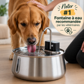 Woofy — Fontaine à Eau Filtrée pour Chien WOOFY