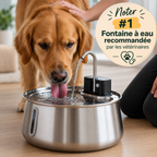 Woofy — Fontaine à Eau Filtrée pour Chien WOOFY