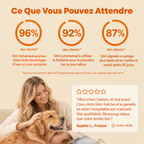 Woofy — Fontaine à Eau Filtrée pour Chien WOOFY